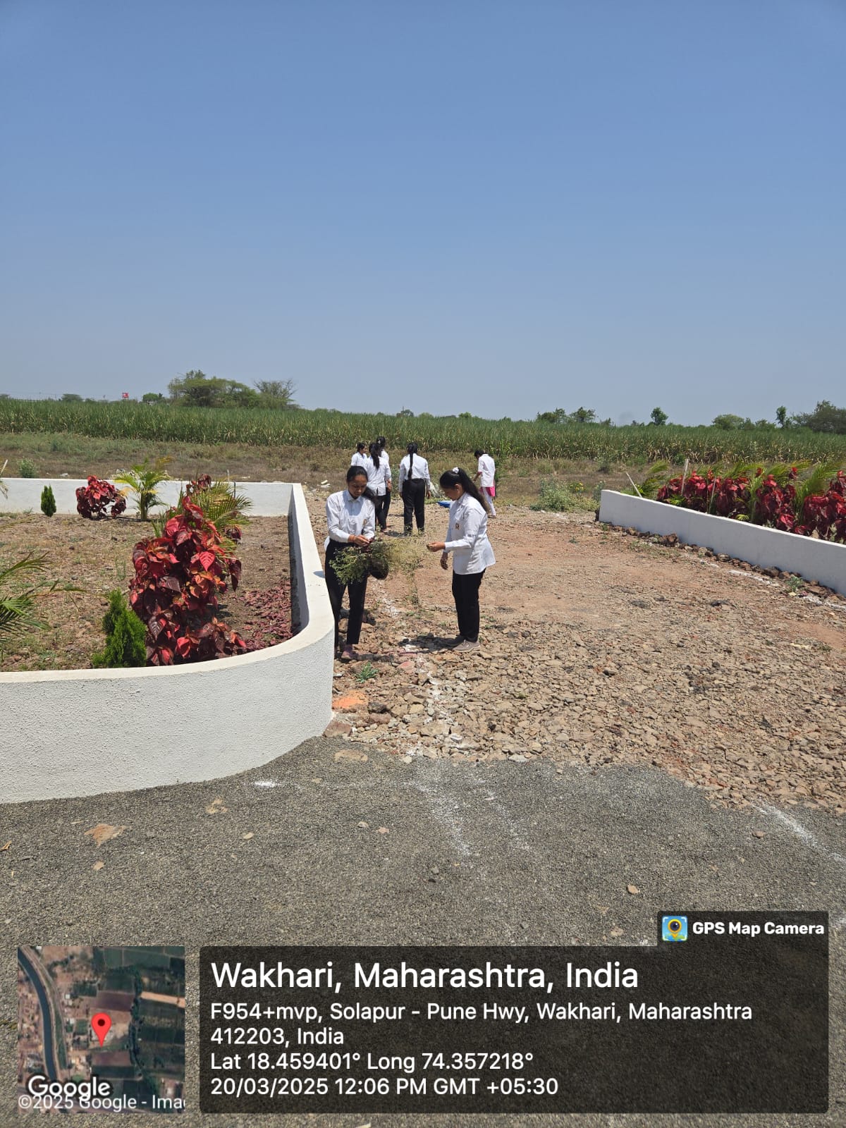 NSS Image