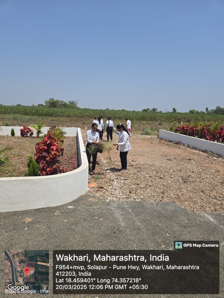 NSS Image